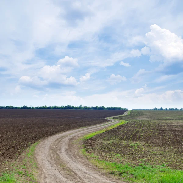 Cloudy sky and winding path — Stock Photo, Image