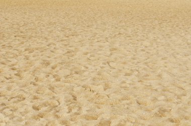 Yellow sea sand with footprints clipart