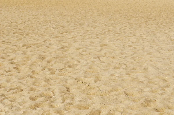 Areia amarela do mar com pegadas — Fotografia de Stock