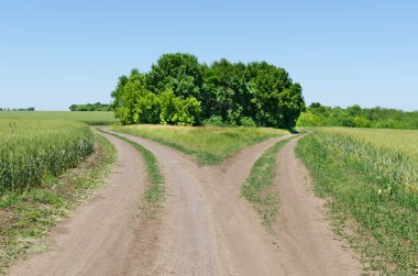 Two rural road beetwen fields clipart