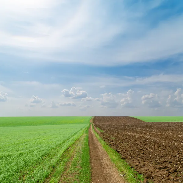 Vuile weg in groene en zwarte velden — Stockfoto