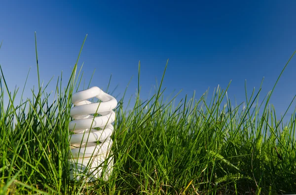 stock image Energy saving lamp in green field