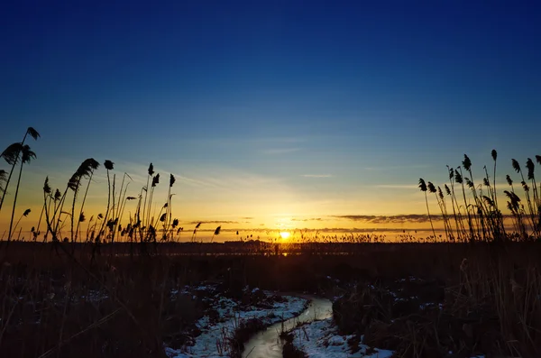 Matahari terbenam di atas sungai dengan tongkat — Stok Foto