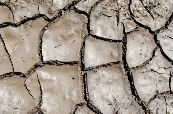 Mokrej ziemi jako tekstury — Zdjęcie stockowe