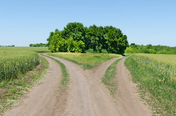 Twee landelijke weg beetwen velden — Stockfoto
