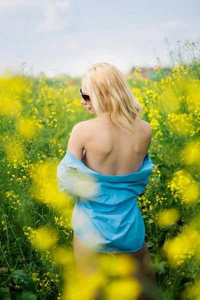 Chica en el prado —  Fotos de Stock