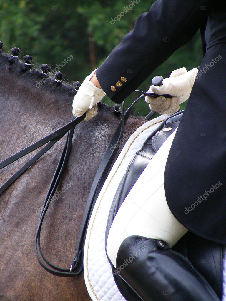 Close up of rider on horse