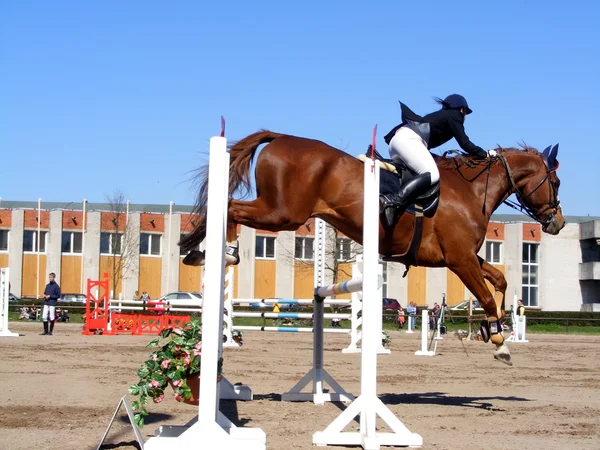 Woman show jumping on brown horse — Stock Photo, Image