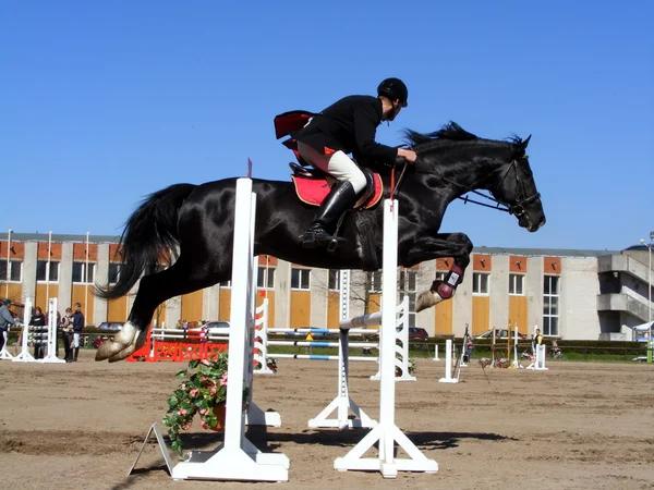 Hombre espectáculo saltar en negro caballo —  Fotos de Stock