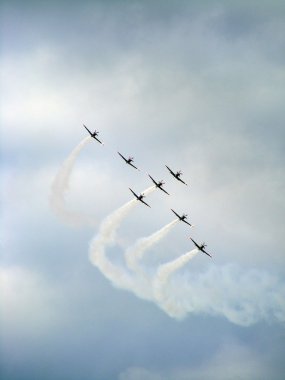 Tukums, Letonya - Ağustos 1: pzl-130 orlik ile Polonya akrobasi görünen takım uçak ekran tukums airshow olay Ağustos 1, 2009 yılında tukums, Letonya