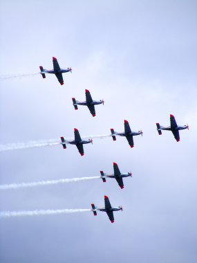 Tukums, Letonya - Ağustos 1: pzl-130 orlik ile Polonya akrobasi görünen takım uçak ekran tukums airshow olay Ağustos 1, 2009 yılında tukums, Letonya