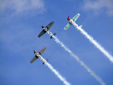 Tukums, Letonya - Ağustos 1: Büyük Britanya akrobasi ekran takımı yakovlevs tukums airshow olay Ağustos 1, 2009 yılında tukums, Letonya görüntüleme