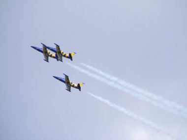 Tukums, Letonya - Ağustos 1: Letonya akrobasi görünen takım Baltık arılar sergilenen uçak aero l-39 albatros tukums airshow olay Ağustos 1, 2009 yılında tukums, Letonya