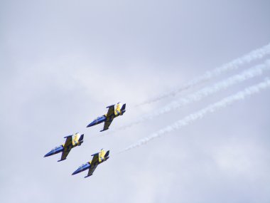 Tukums, Letonya - Ağustos 1: Letonya akrobasi görünen takım Baltık arılar sergilenen uçak aero l-39 albatros tukums airshow olay Ağustos 1, 2009 yılında tukums, Letonya