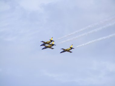 Tukums, Letonya - Ağustos 1: Letonya akrobasi görünen takım Baltık arılar sergilenen uçak aero l-39 albatros tukums airshow olay Ağustos 1, 2009 yılında tukums, Letonya