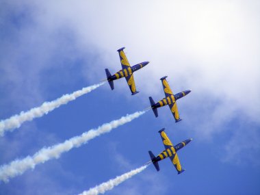 Tukums, Letonya - Ağustos 1: Letonya akrobasi görünen takım Baltık arılar sergilenen uçak aero l-39 albatros tukums airshow olay Ağustos 1, 2009 yılında tukums, Letonya