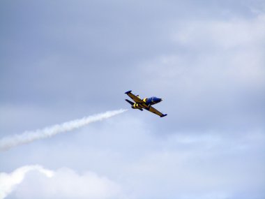 Tukums, Letonya - Ağustos 1: Letonya akrobasi görünen takım Baltık arılar sergilenen uçak aero l-39 albatros tukums airshow olay Ağustos 1, 2009 yılında tukums, Letonya