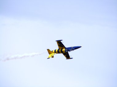 Tukums, Letonya - Ağustos 1: Letonya akrobasi görünen takım Baltık arılar sergilenen uçak aero l-39 albatros tukums airshow olay Ağustos 1, 2009 yılında tukums, Letonya