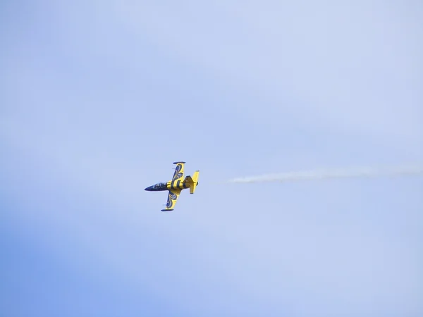 8 月 1 拉脱维亚-姆斯： 拉脱维亚的空中特技飞行表演队飞机航空 l 39 信天翁陈列在姆斯航展事件 8 月 1，2009 年姆斯，拉脱维亚波罗的海的蜜蜂 — 图库照片