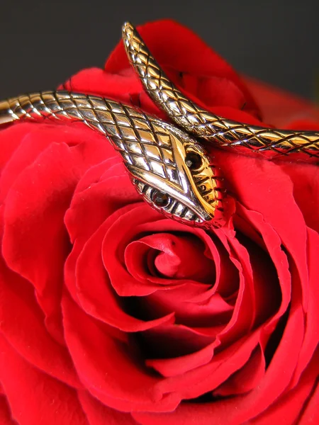 银蛇和玫瑰 — 图库照片