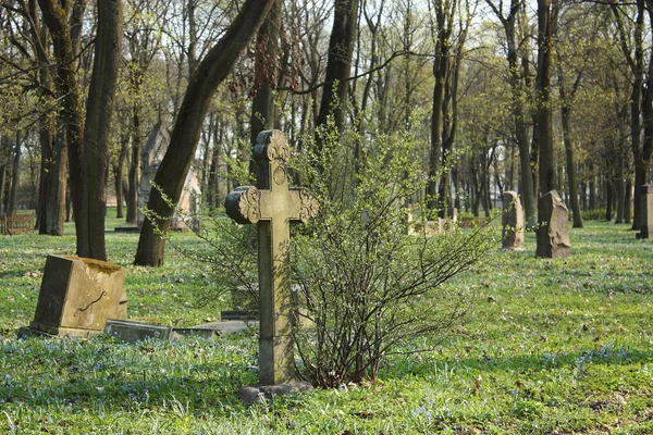 Vanha risti hylätyllä hautausmaalla — kuvapankkivalokuva