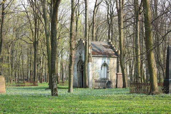 Staré vynesl na opuštěný hřbitov — Stock fotografie