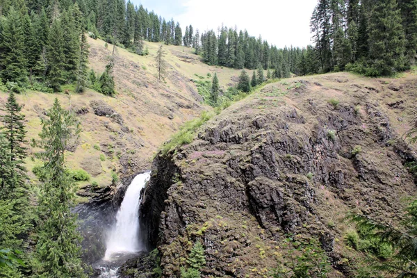 Elk Creek Lower Falls di Idaho — Stok Foto