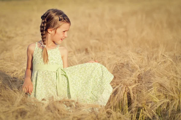Счастливая девушка в поле — стоковое фото