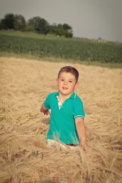 Menino feliz no campo — Fotografia de Stock