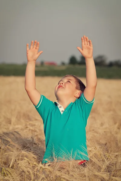 Menino feliz no campo — Fotografia de Stock