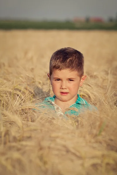 Szczęśliwy chłopiec w polu — Zdjęcie stockowe