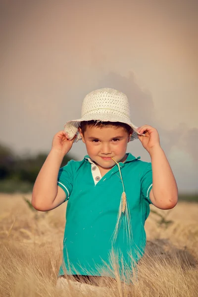 Malý chlapec v pšeničném poli — Stock fotografie