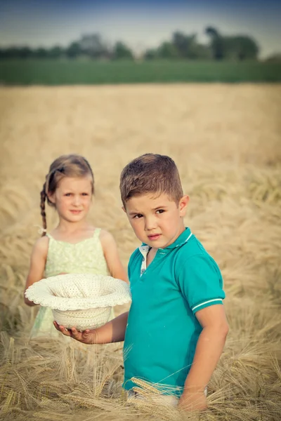 Маленький хлопчик і дівчинка в пшеничному полі — стокове фото
