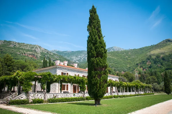 stock image Beautiful villa made of stone covered with vegetation