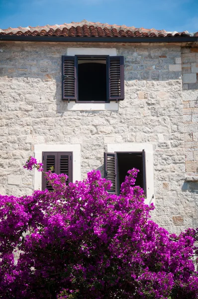 Adriyatik evi ve çiçekler — Stok fotoğraf