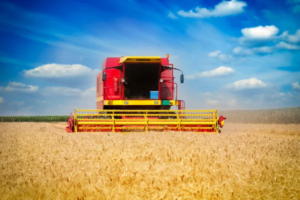 Комбайн на пшеничном поле с голубым небом — стоковое фото