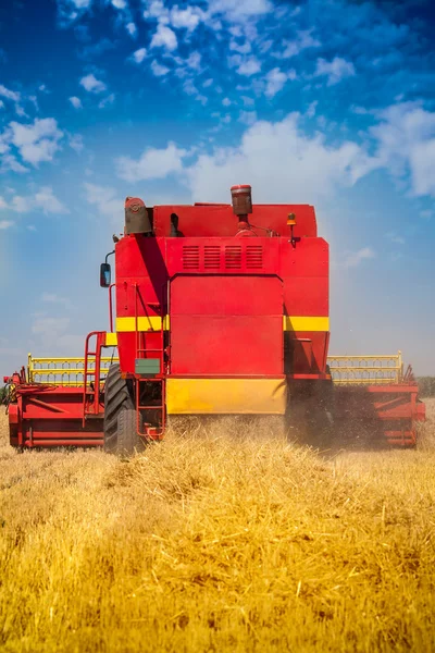 Combine la cosechadora en un campo de trigo con un cielo azul —  Fotos de Stock