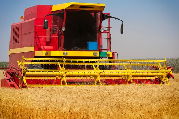 Combina la mietitrice su un campo di grano con un cielo blu — Foto Stock