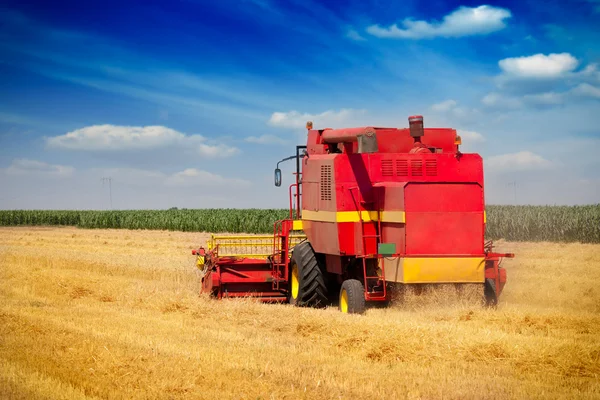 Combina la mietitrice su un campo di grano con un cielo blu — Foto Stock