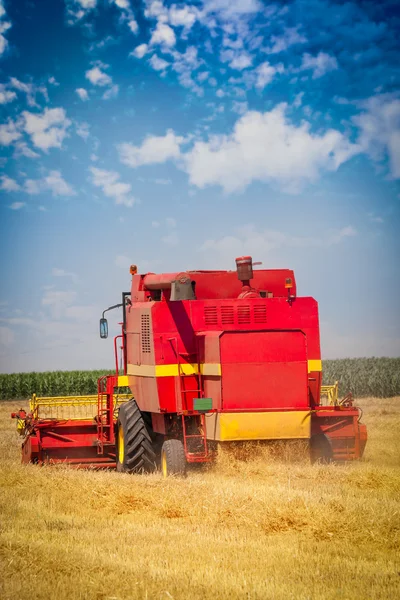 Kombajn na pšeničné pole s modrou oblohou — Stock fotografie