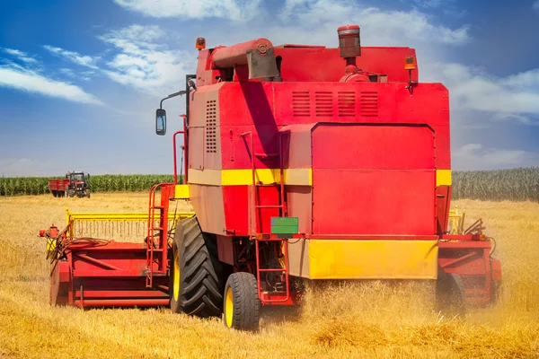 Kombinovat, sklizeň pšenice — Stock fotografie
