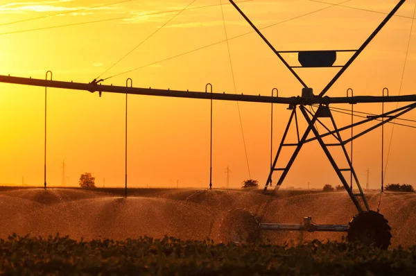 Landbouw irrigatie sprinkler — Stockfoto