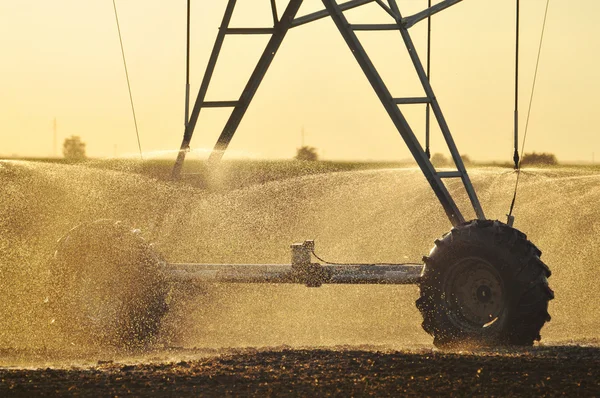 農業の潅漑のスプリンクラー — ストック写真