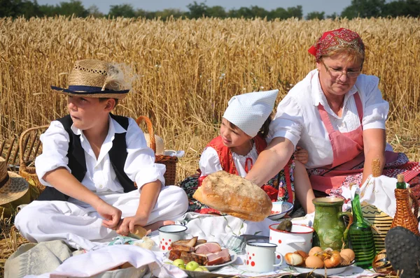 stock image Traditional breakfast of wheat field