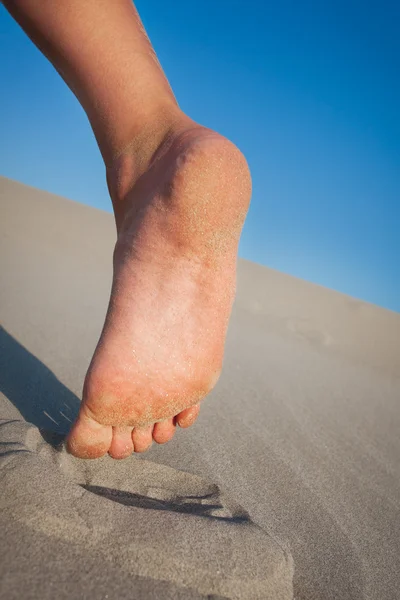 Slim legs on the beach — Stockfoto