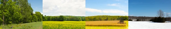 Four seasons field wide angle. — Stock Photo, Image