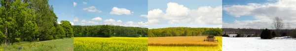 One field, four seasons, wide angle. — Stock Photo, Image
