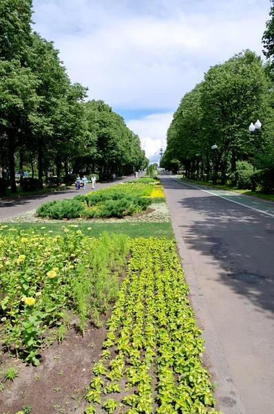 Şehir parkındaki sokak.