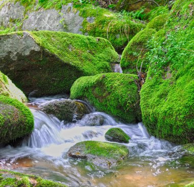 Small streams over mossy rocks clipart
