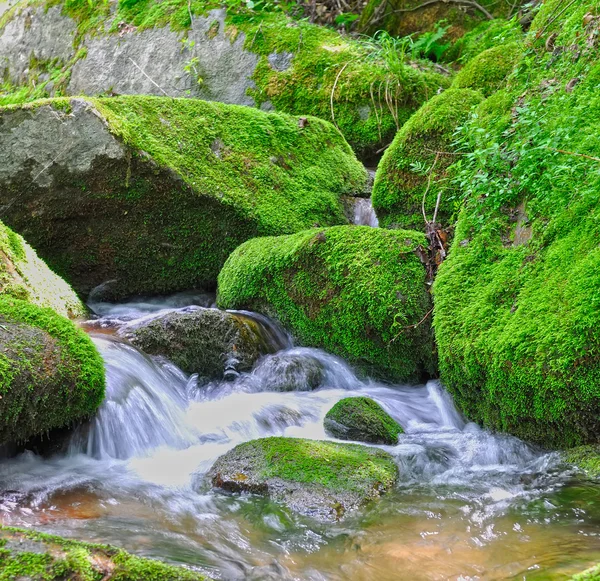 小溪流在长满苔藓的石头 — 图库照片